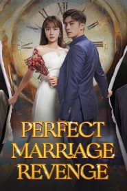 Perfect Marriage Revenge (2023)