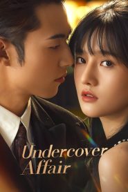 Undercover Affair (2024)