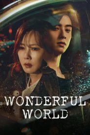 Wonderful World (2024)